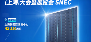 主流组件、电池企业品牌~晶澳太阳能N2-310